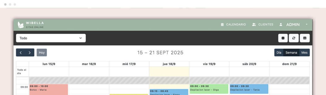 Panel de administración del sistema de reservas online para clínicas estéticas {{brizy_dc_image_alt imageSrc=